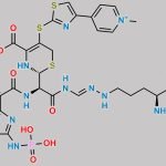 Ceftaroline Impurity 11 CAS#: N/A
