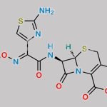 Ceftazidime EP Impurity B CAS#: 97148-38-4
