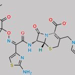 Ceftazidime EP Impurity E CAS#: 102772-66-7