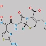 Ceftazidime EP Impurity H CAS#: 1354396-23-8