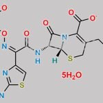 Ceftazidime Pentahydrate CAS#: 78439-06-2