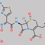Ceftazidime Sulfoxide CAS#: 1301254-48-7
