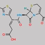 Ceftibuten CAS#: 97519-39-6