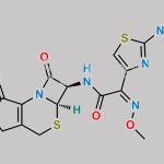 Ceftiofur Thiolactone CAS#: 120882-23-7