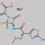 Ceftizoxime Sodium CAS#: 68401-82-1
