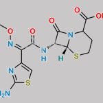Ceftizoxime Impurity 5 CAS#: 929101-89-3