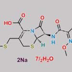 Ceftriaxone Disodium Hemiheptahydrate CAS#: 104376-79-6