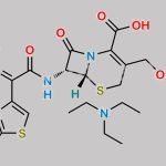 Ceftriaxone Impurity Cefotaxime Triethylamine CAS#: 219827-56-2