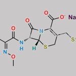 Ceftriaxone Sodium CAS#: 958633-51-7