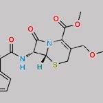 Cefuroxime Acid Methyl Ester CAS#: 1700623-77-3