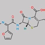 Cefuroxime EP Impurity F CAS#: 97170-19-9
