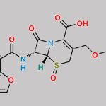 Cefuroxime Sulphoxide CAS#: 929531-94-2