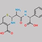 Cefalexin Diketopiperazine Monoacid CAS#: 1323247-65-9