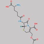 Cephalosporin C CAS#: 61-24-5