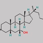 Chenodeoxycholic Acid CAS#: 474-25-9
