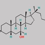 Chenodeoxycholic Acid EP Impurity A CAS#: 128-13-2
