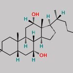 Chenodeoxycholic Acid EP Impurity B CAS#: 81-25-4