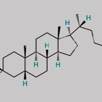 Chenodeoxycholic Acid EP Impurity C CAS#: 434-13-9