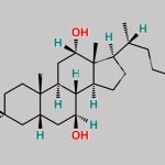 Chenodeoxycholic Acid EP Impurity D CAS#: 2955-27-3