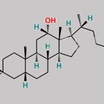Chenodeoxycholic Acid EP Impurity E CAS#: 83-44-3