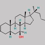 Chenodeoxycholic Acid EP Impurity G CAS#: 10538-55-3
