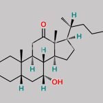 Chenodeoxycholic Acid EP Impurity H CAS#: 2458-08-4