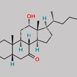 Chenodeoxycholic Acid EP Impurity I CAS#: 2304-92-9