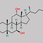 Chenodeoxycholic acid Impurity 1 CAS#: 28050-56-8