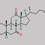 Chenodeoxycholic acid Impurity 2 CAS#: 7727-82-4