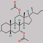 Chenodeoxycholic acid Impurity 3 CAS#: 6818-44-6
