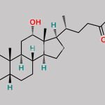 Chenodeoxycholic Acid Impurity 6 CAS#: 15173-22-5