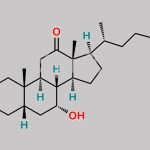 Chenodeoxycholic Acid Impurity 8 CAS#: 2304-91-8