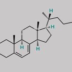 Cholecalciferol EP Impurity B CAS#: 434-16-2