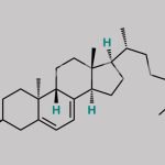 Cholecalciferol Impurity C CAS#: 5226-01-7