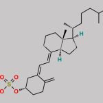 Cholecalciferol Sulfate CAS#: 10529-43-8