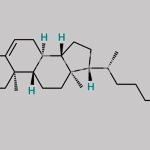 Cholesta-3,5-Diene CAS#: 747-90-0