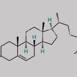 Cholesterol CAS#: 57-88-5