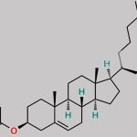 Cholesterol Acetate CAS#: 604-35-3