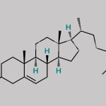 Cholesterol EP Impurity B CAS#: 313-04-2