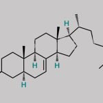 Cholesterol EP Impurity C CAS#: 651-54-7