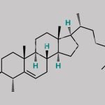 Cholesterol impurity 1 CAS#: 15073-00-4