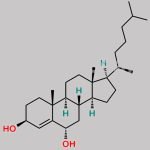 Cholesterol Impurity 11 CAS#: 15013-60-2