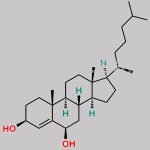 Cholesterol Impurity 12 CAS#: 570-88-7
