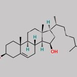 Cholesterol Impurity 5 CAS#: 104475-92-5
