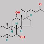 Cholic Acid Ethyl Ester CAS#: 47676-48-2