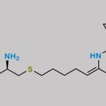 Cilastatin CAS#: 82009-34-5