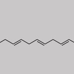 cis-5,8,11,14-Eicosatetraenoic Acid Ethyl Ester CAS#: 95285-77-1