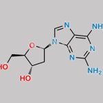 Cladribine EP Impurity A CAS#: 4546-70-7