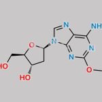 Cladribine EP Impurity B CAS#: 24757-70-8
