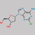 Cladribine EP Impurity D CAS#: 5542-92-7